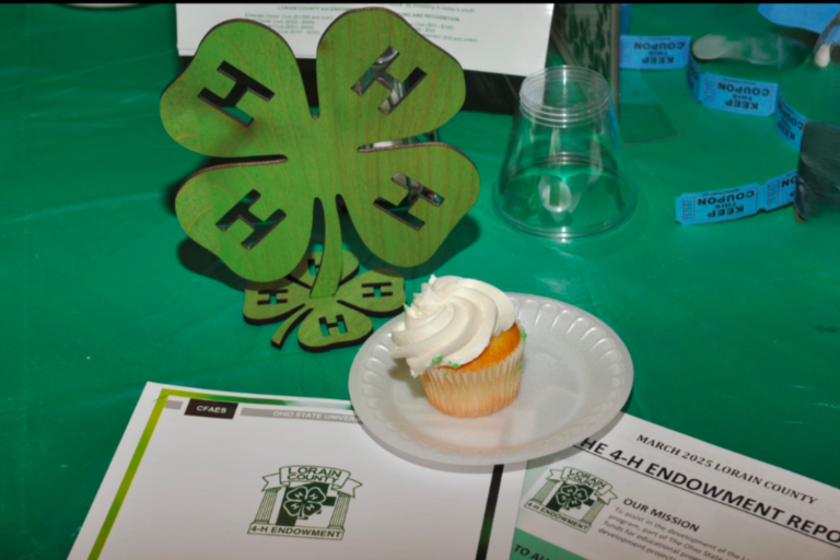 Community Support Lifts Lorain County 4-H to a Record-Breaking $33,000