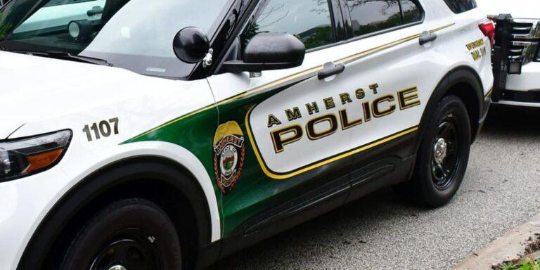 5 Kids Detained After Amherst Park Assault