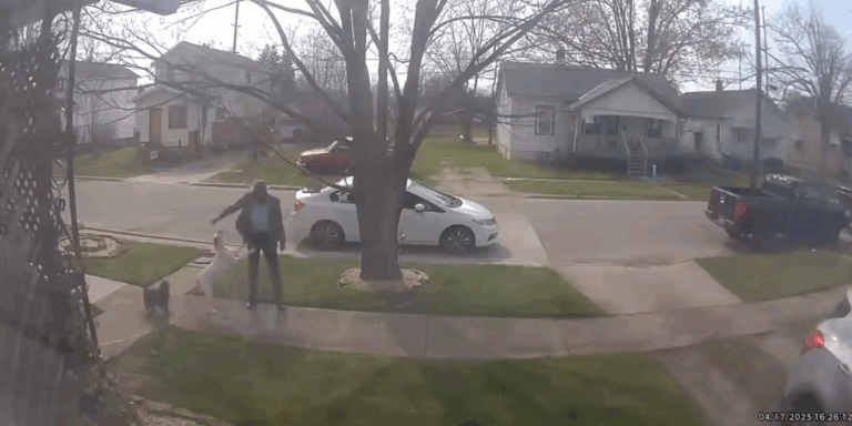 Lorain Man Seen Hitting Dog on Lead From Sidewalk — Debate Erupts Over Who Crossed the Line