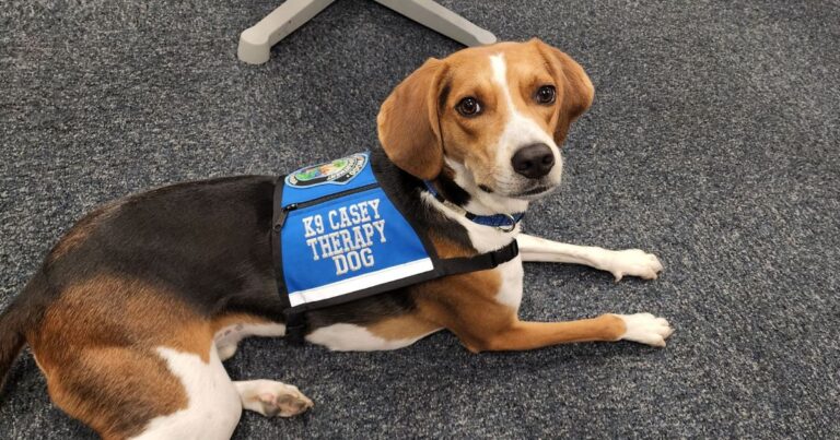 Four Paws for Mental Health: Why Therapy Dogs Belong in Law Enforcement