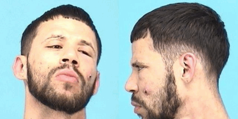 Police Use K9s and Drones to Track Down Fleeing Suspect