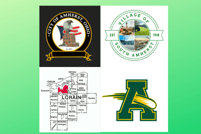 Amherst Area Election Results: Miller Wins Treasurer, School Levy Fails