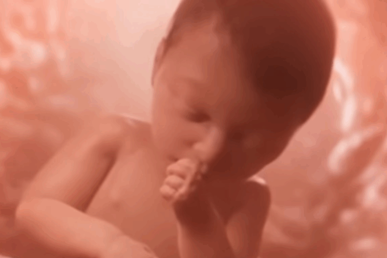 Ohio Lawmakers Advance Bill Requiring Schools to Show Fetal Development and Ultrasound Videos