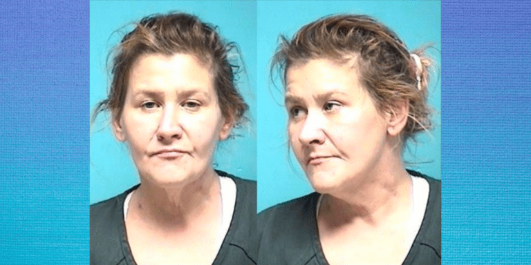 Traffic Stop Leads to Felony Drug Charges in Vermilion